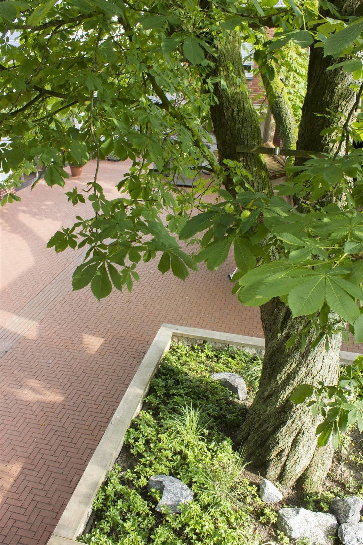 Hotel Zur Krone Гешер Экстерьер фото